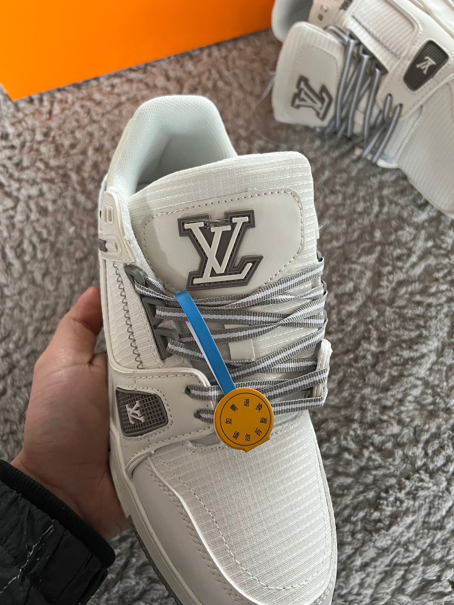 LV TRAINER - M2